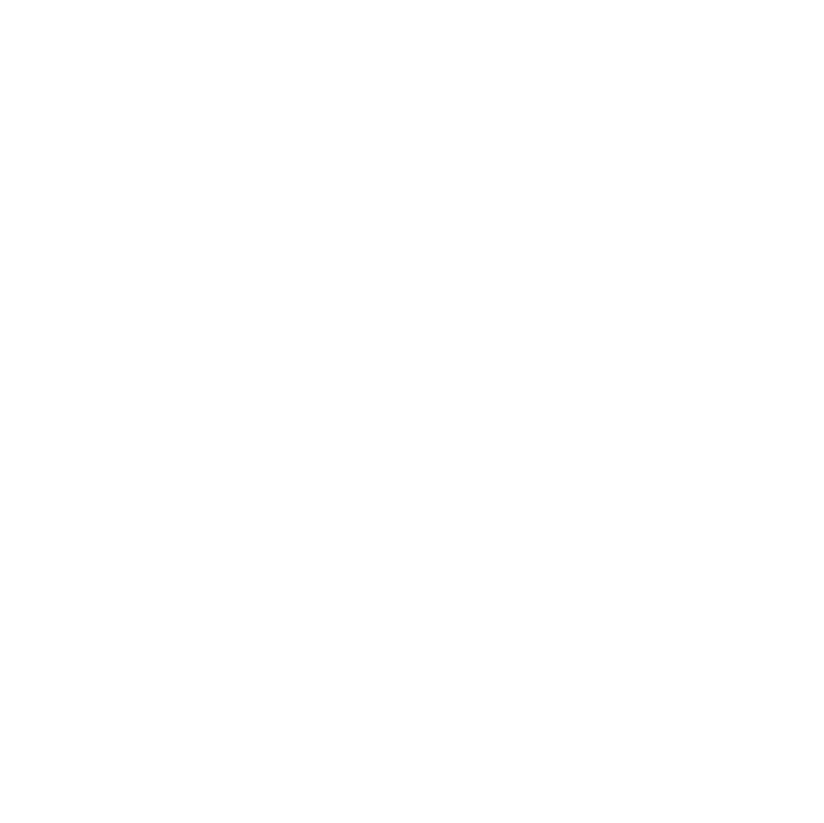 Rise Financial Services